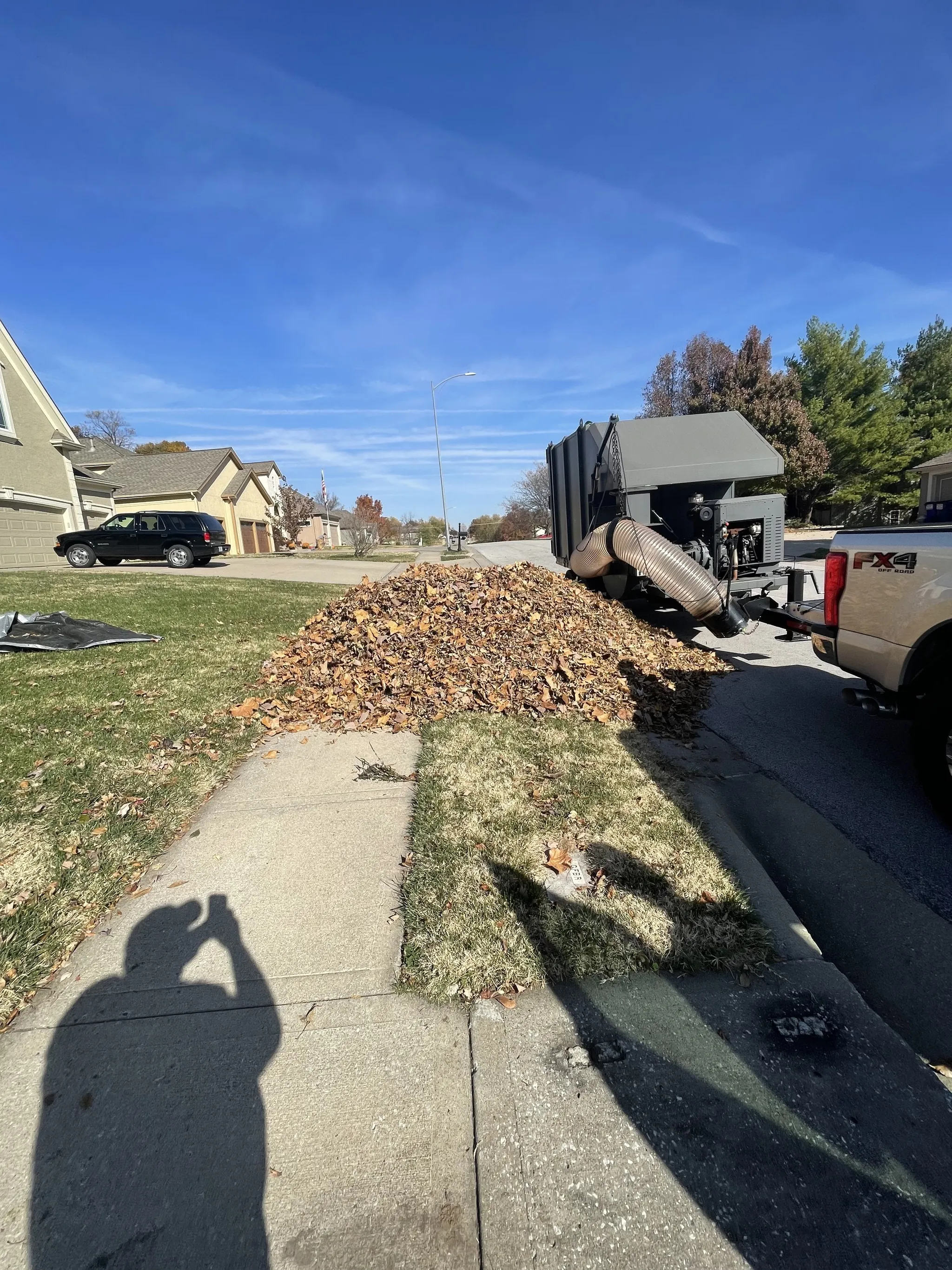 Leaf pile at curb ready for pickup