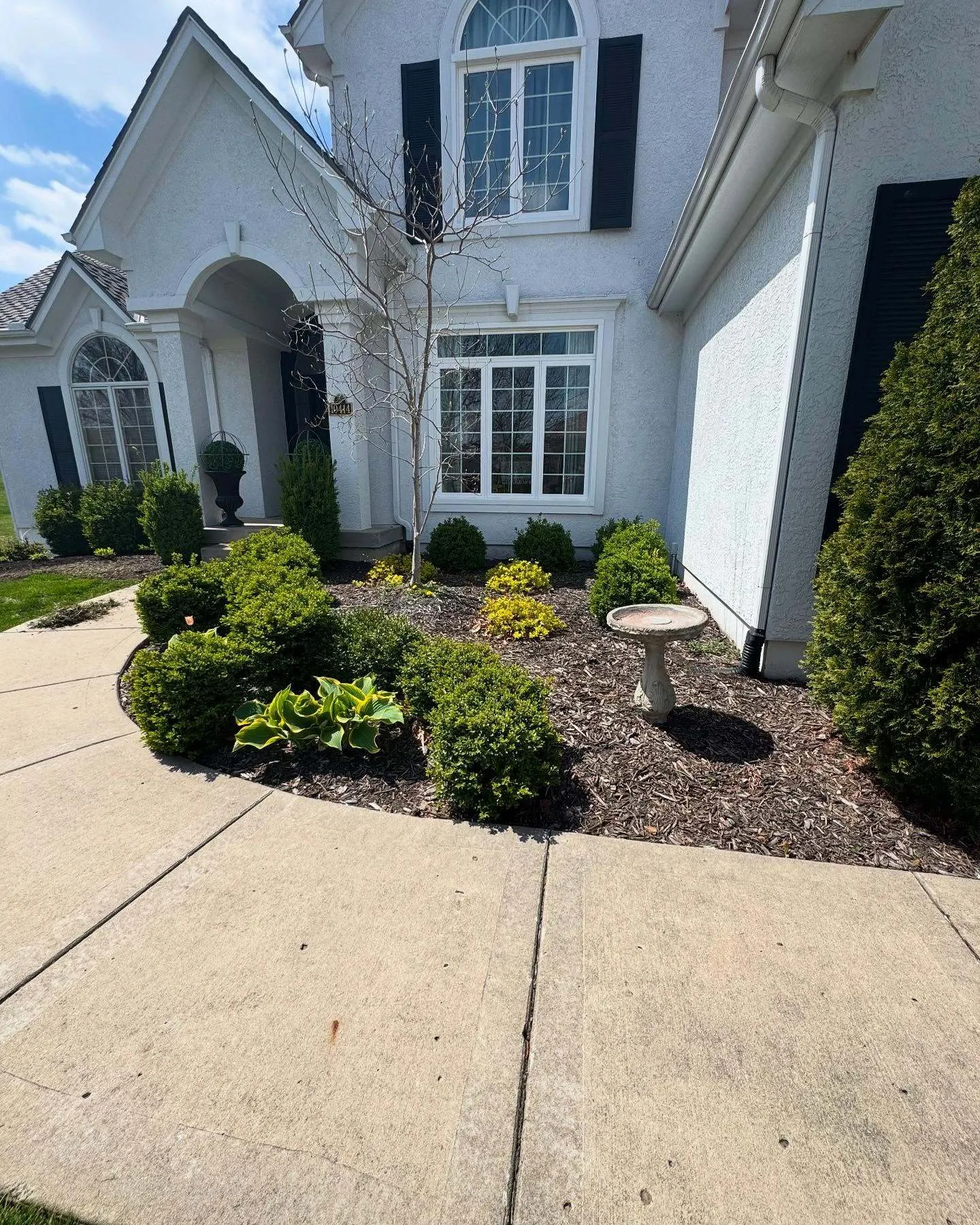 Manicured shrubs and mulch bed in Liberty, MO property