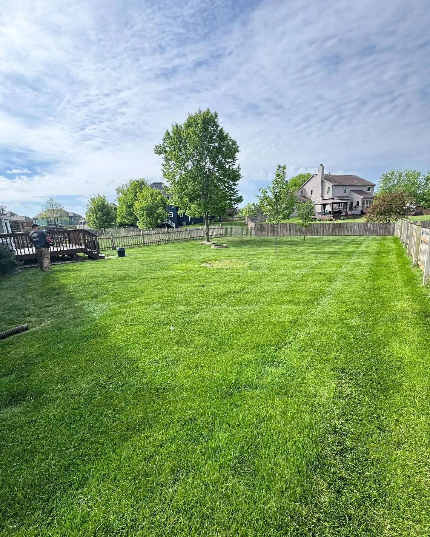 Freshly mowed lawn with clean edges in Kansas City
