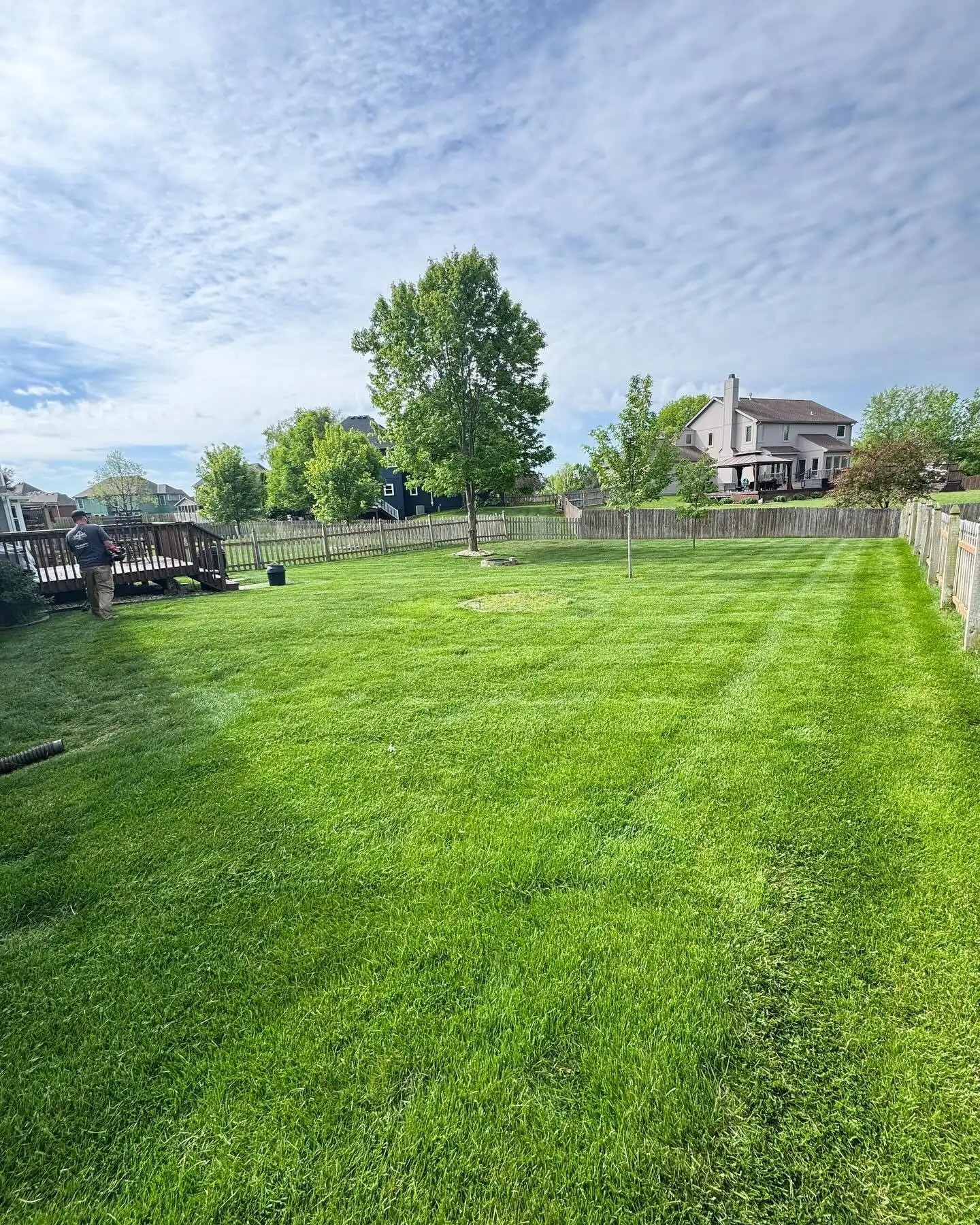 Professional lawn mowing service