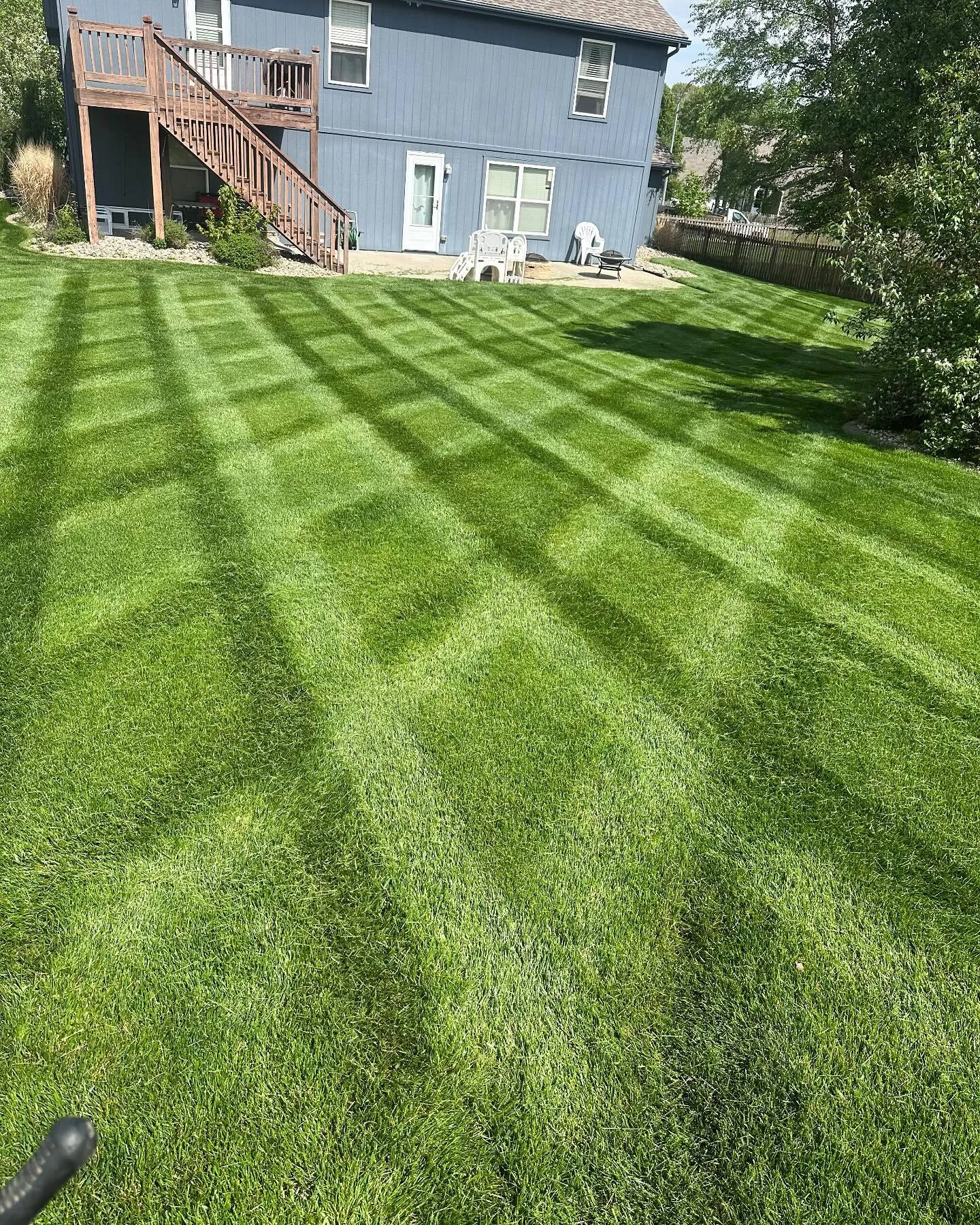 Professional lawn care by Urban Diamond