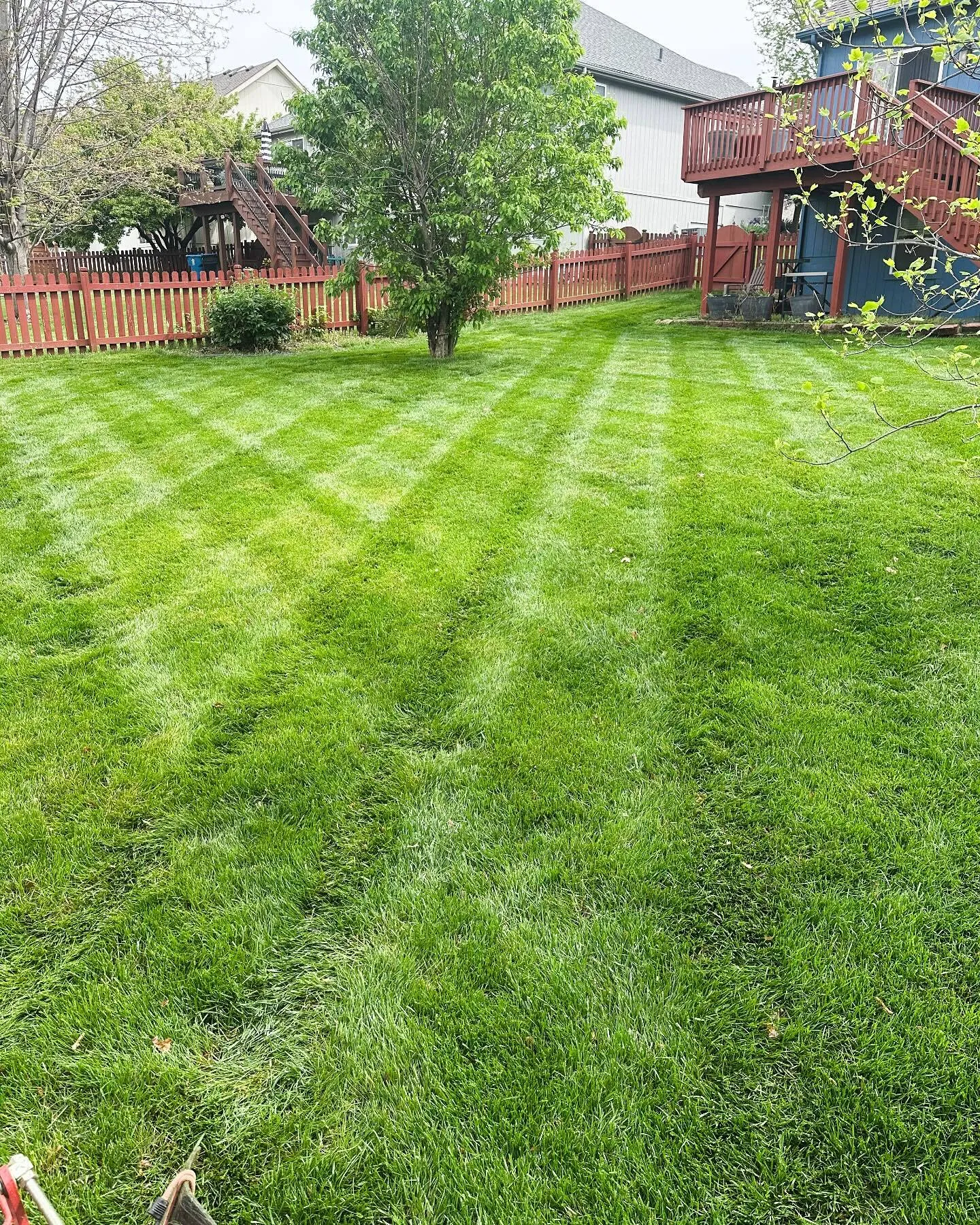 Diamond crosshatch lawn striping by Urban Diamond Lawn Care